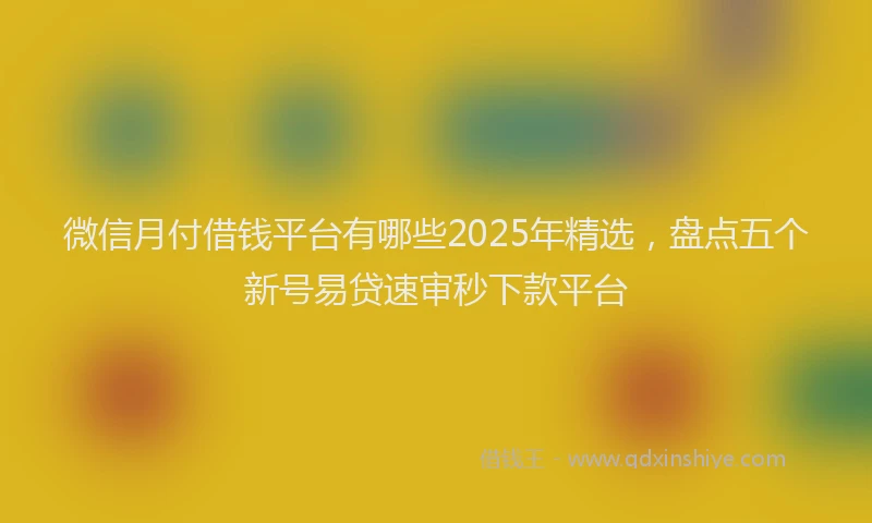 微信月付借钱平台有哪些2025年精选，盘点五个新号易贷速审秒下款平台