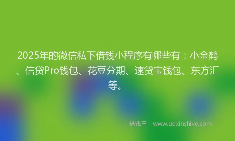 2025年的微信私下借钱小程序有哪些有：小金鹤、信贷Pro钱包、花豆分期、速贷宝钱包、东方汇等。