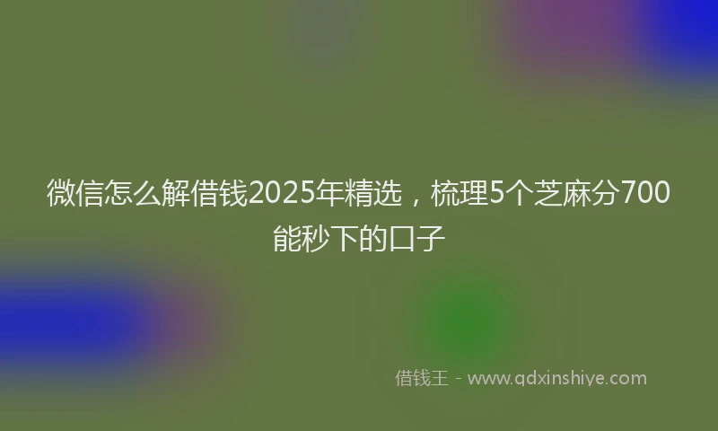 微信怎么解借钱2025年精选，梳理5个芝麻分700能秒下的口子