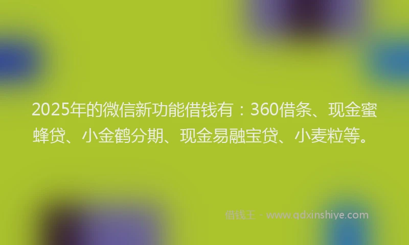2025年的微信新功能借钱有：360借条、现金蜜蜂贷、小金鹤分期、现金易融宝贷、小麦粒等。