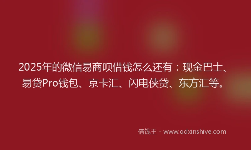 2025年的微信易商呗借钱怎么还有：现金巴士、易贷Pro钱包、京卡汇、闪电侠贷、东方汇等。