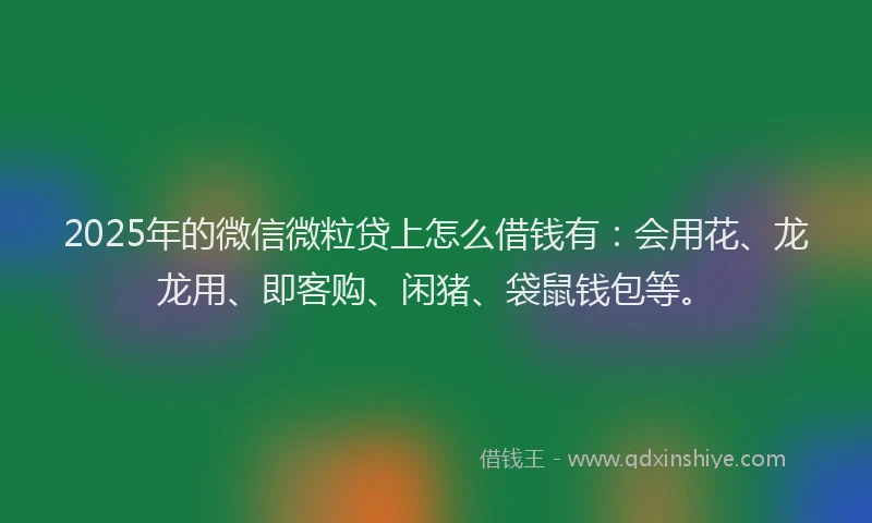 2025年的微信微粒贷上怎么借钱有：会用花、龙龙用、即客购、闲猪、袋鼠钱包等。