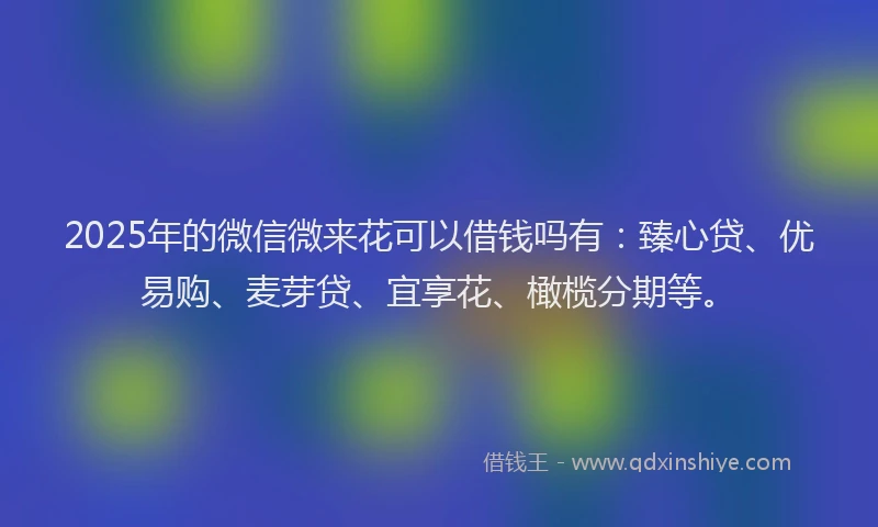 2025年的微信微来花可以借钱吗有：臻心贷、优易购、麦芽贷、宜享花、橄榄分期等。