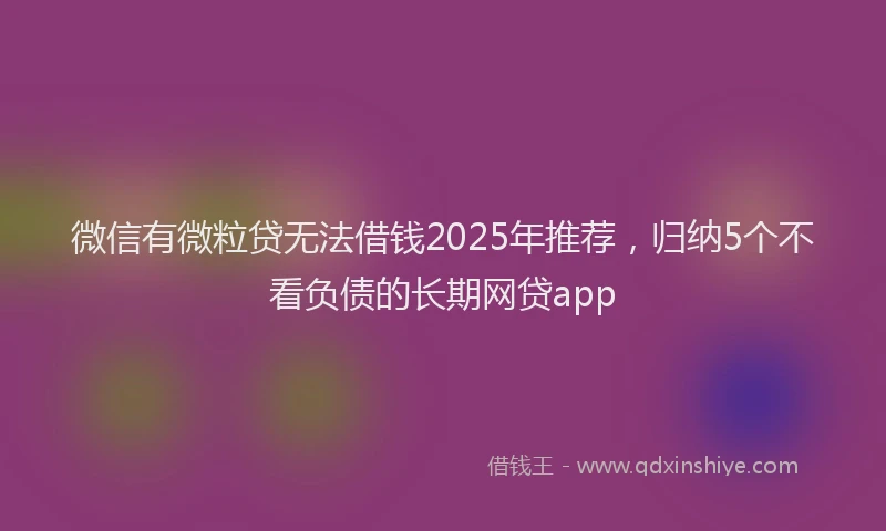 微信有微粒贷无法借钱2025年推荐，归纳5个不看负债的长期网贷app