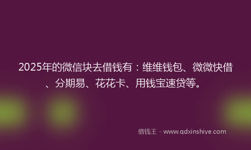 2025年的微信块去借钱有：维维钱包、微微快借、分期易、花花卡、用钱宝速贷等。