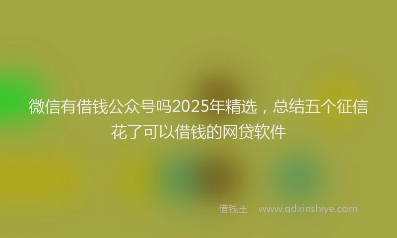 微信有借钱公众号吗2025年精选，总结五个征信花了可以借钱的网贷软件
