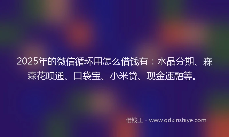 2025年的微信循环用怎么借钱有：水晶分期、森森花呗通、口袋宝、小米贷、现金速融等。