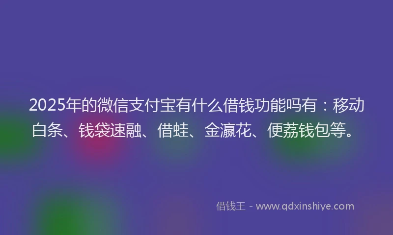 2025年的微信支付宝有什么借钱功能吗有：移动白条、钱袋速融、借蛙、金瀛花、便荔钱包等。