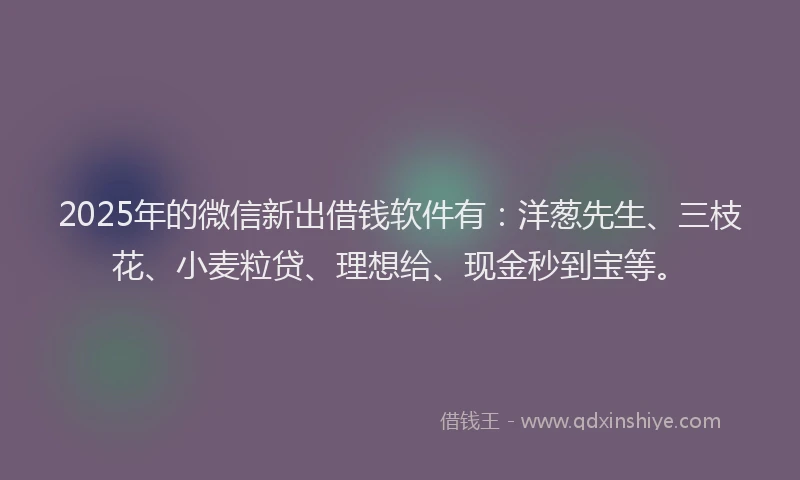 2025年的微信新出借钱软件有：洋葱先生、三枝花、小麦粒贷、理想给、现金秒到宝等。