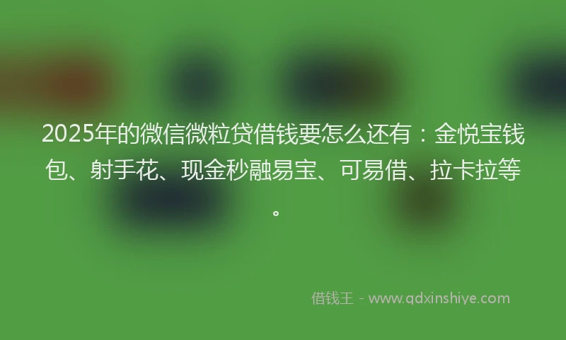 2025年的微信微粒贷借钱要怎么还有：金悦宝钱包、射手花、现金秒融易宝、可易借、拉卡拉等。