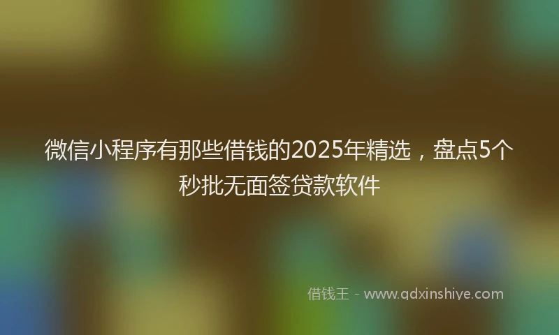 微信小程序有那些借钱的2025年精选，盘点5个秒批无面签贷款软件