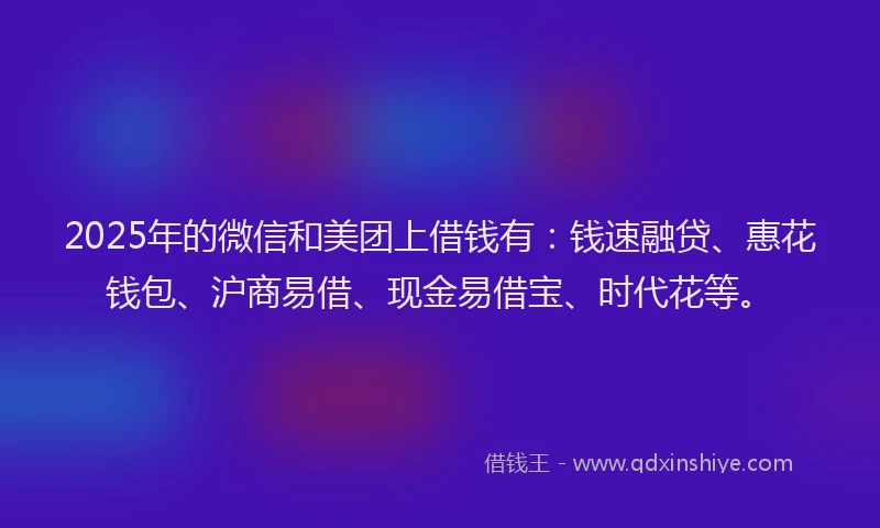 2025年的微信和美团上借钱有：钱速融贷、惠花钱包、沪商易借、现金易借宝、时代花等。