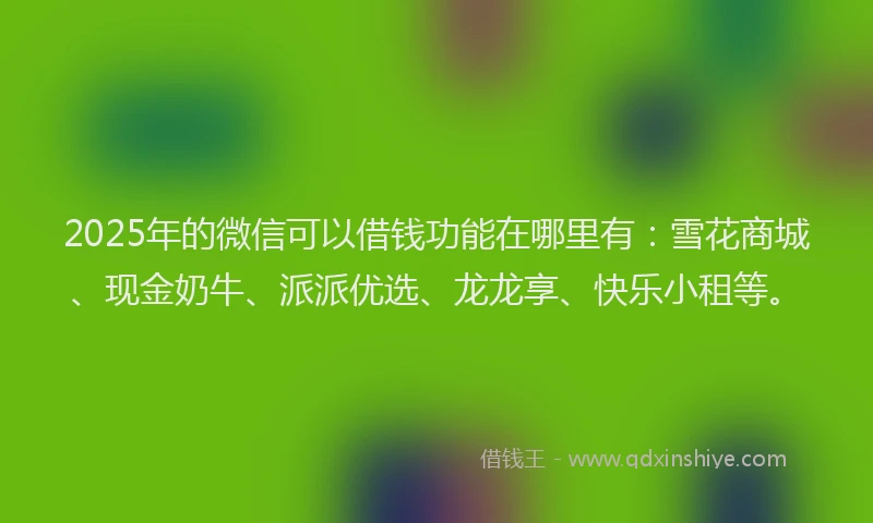 2025年的微信可以借钱功能在哪里有：雪花商城、现金奶牛、派派优选、龙龙享、快乐小租等。