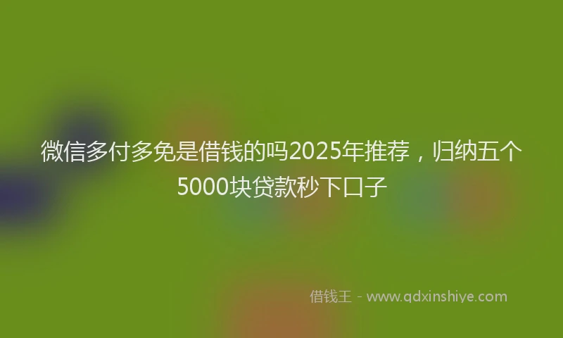 微信多付多免是借钱的吗2025年推荐，归纳五个5000块贷款秒下口子