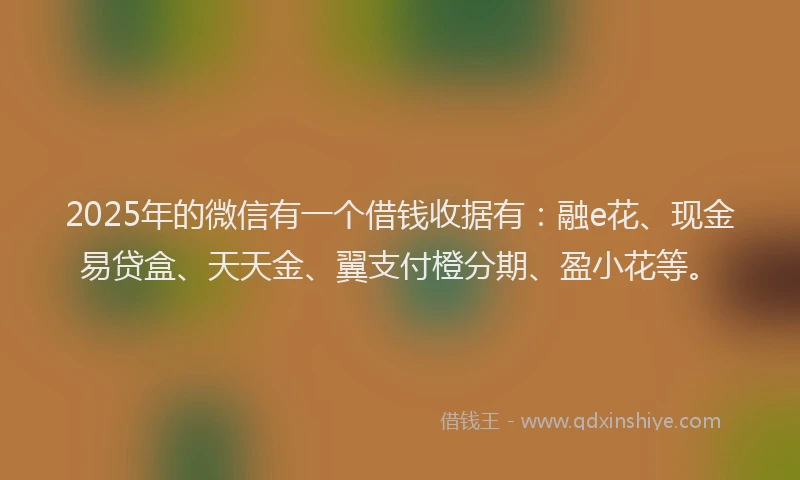 2025年的微信有一个借钱收据有：融e花、现金易贷盒、天天金、翼支付橙分期、盈小花等。
