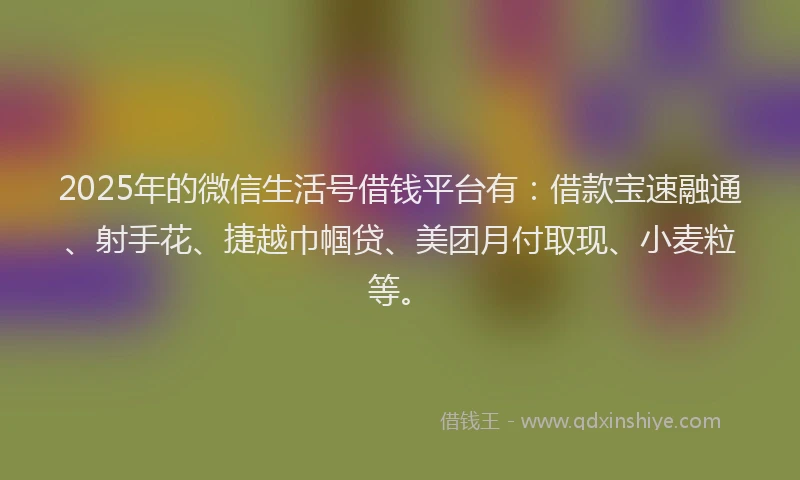 2025年的微信生活号借钱平台有：借款宝速融通、射手花、捷越巾帼贷、美团月付取现、小麦粒等。