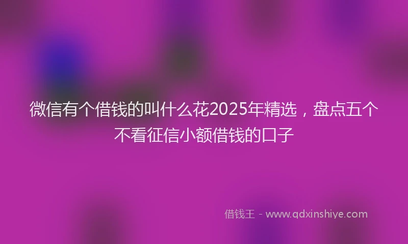 微信有个借钱的叫什么花2025年精选，盘点五个不看征信小额借钱的口子