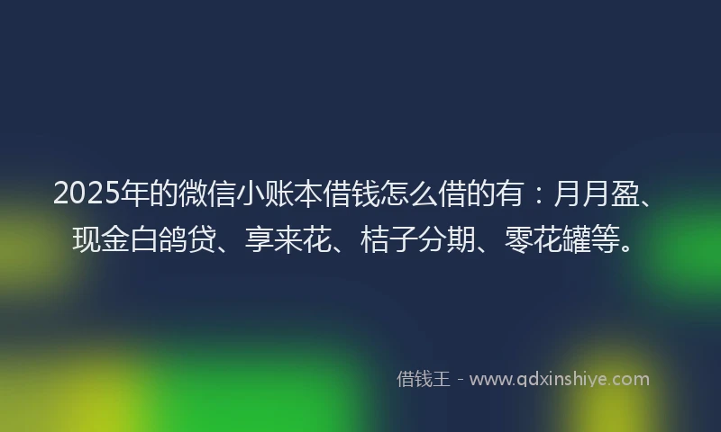 2025年的微信小账本借钱怎么借的有：月月盈、现金白鸽贷、享来花、桔子分期、零花罐等。