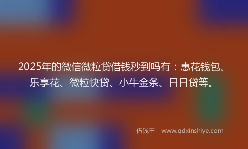 2025年的微信微粒贷借钱秒到吗有：惠花钱包、乐享花、微粒快贷、小牛金条、日日贷等。