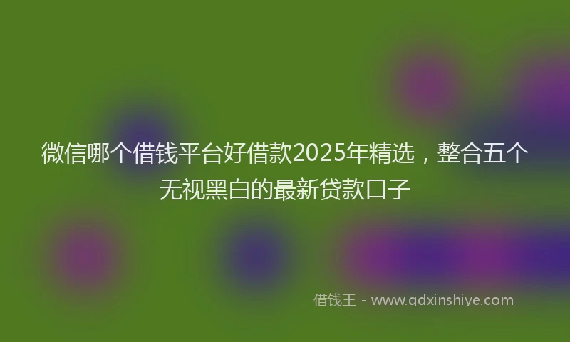 微信哪个借钱平台好借款2025年精选，整合五个无视黑白的最新贷款口子