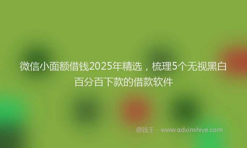 微信小面额借钱2025年精选，梳理5个无视黑白百分百下款的借款软件