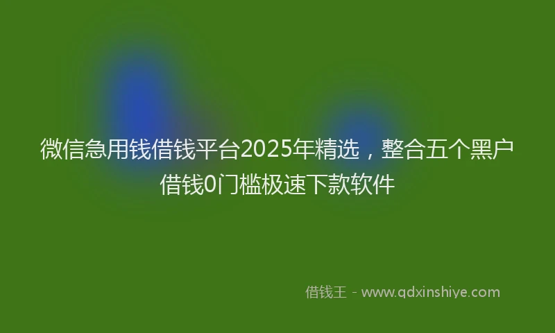 微信急用钱借钱平台2025年精选，整合五个黑户借钱0门槛极速下款软件