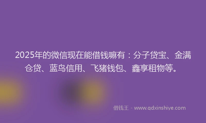 2025年的微信现在能借钱嘛有：分子贷宝、金满仓贷、蓝鸟信用、飞猪钱包、鑫享租物等。