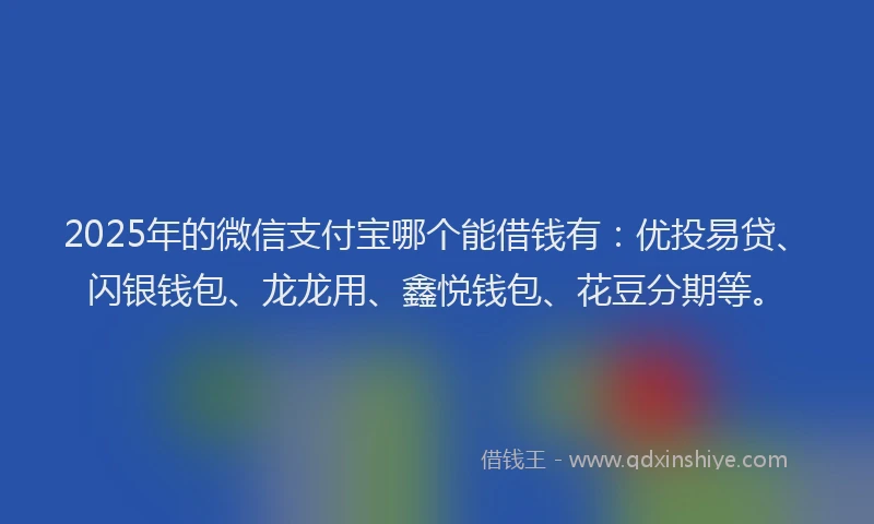 2025年的微信支付宝哪个能借钱有：优投易贷、闪银钱包、龙龙用、鑫悦钱包、花豆分期等。