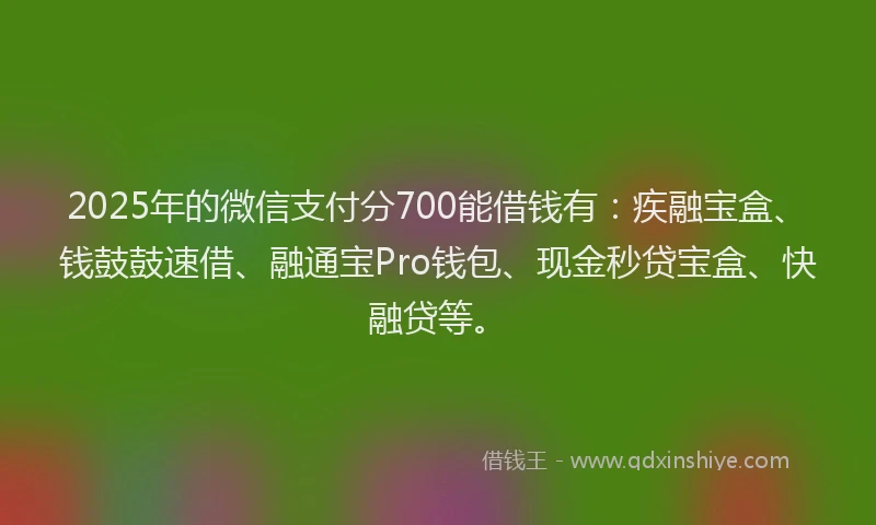 2025年的微信支付分700能借钱有：疾融宝盒、钱鼓鼓速借、融通宝Pro钱包、现金秒贷宝盒、快融贷等。