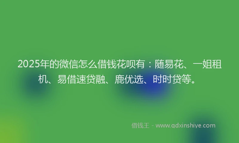 2025年的微信怎么借钱花呗有：随易花、一姐租机、易借速贷融、鹿优选、时时贷等。