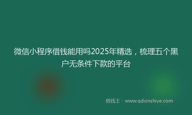 微信小程序借钱能用吗2025年精选，梳理五个黑户无条件下款的平台