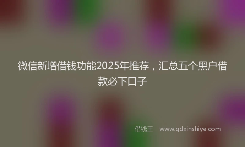 微信新增借钱功能2025年推荐，汇总五个黑户借款必下口子