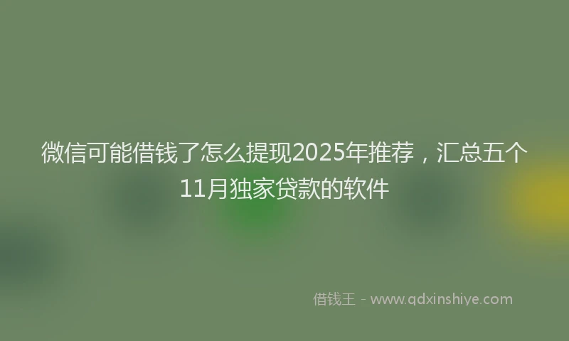 微信可能借钱了怎么提现2025年推荐，汇总五个11月独家贷款的软件