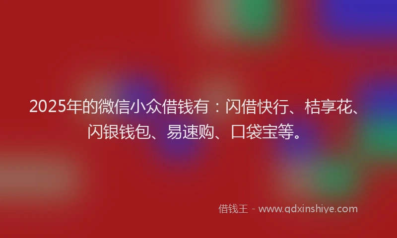 2025年的微信小众借钱有：闪借快行、桔享花、闪银钱包、易速购、口袋宝等。