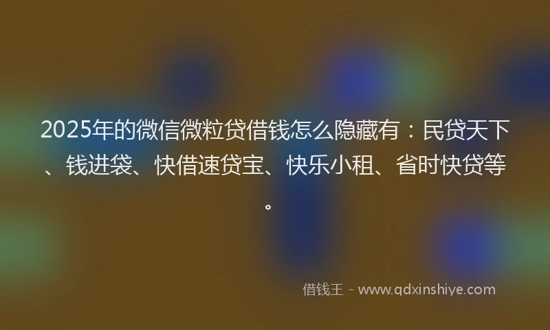 2025年的微信微粒贷借钱怎么隐藏有：民贷天下、钱进袋、快借速贷宝、快乐小租、省时快贷等。