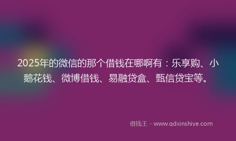 2025年的微信的那个借钱在哪啊有：乐享购、小鹅花钱、微博借钱、易融贷盒、甄信贷宝等。