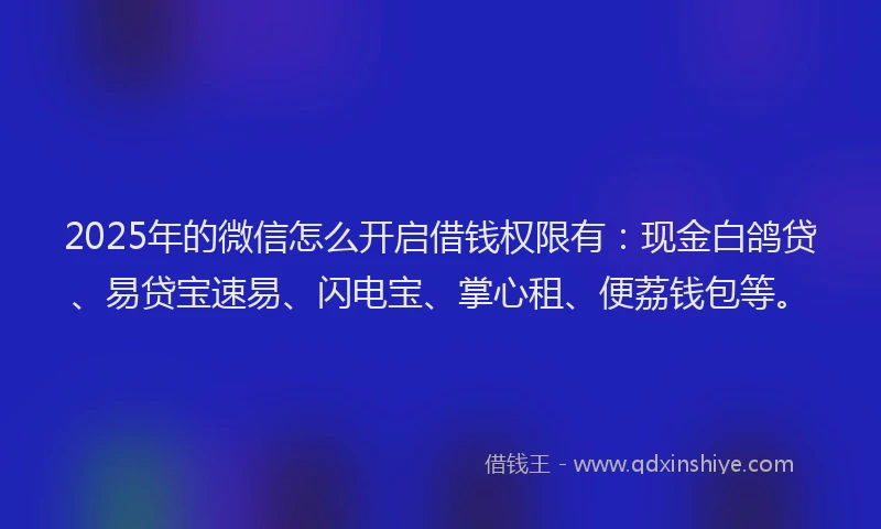 2025年的微信怎么开启借钱权限有：现金白鸽贷、易贷宝速易、闪电宝、掌心租、便荔钱包等。