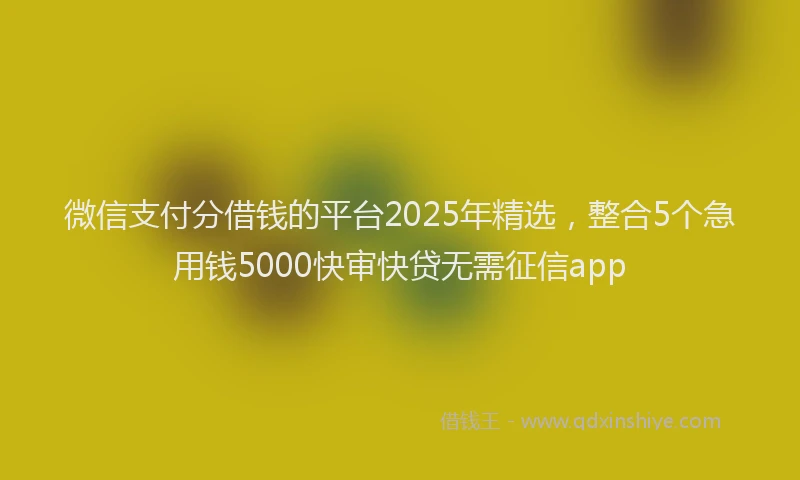 微信支付分借钱的平台2025年精选，整合5个急用钱5000快审快贷无需征信app