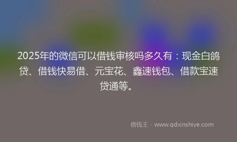 2025年的微信可以借钱审核吗多久有：现金白鸽贷、借钱快易借、元宝花、鑫速钱包、借款宝速贷通等。
