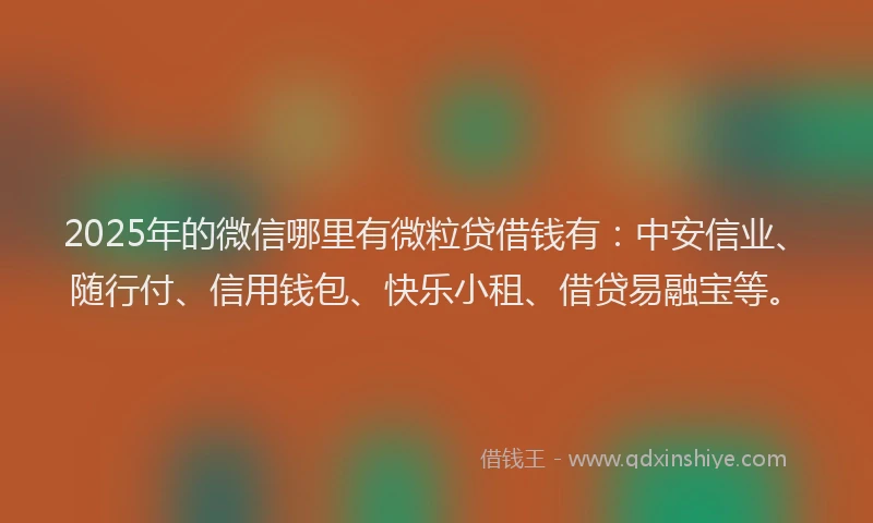 2025年的微信哪里有微粒贷借钱有：中安信业、随行付、信用钱包、快乐小租、借贷易融宝等。