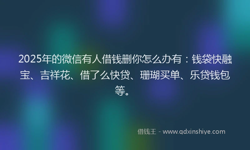 2025年的微信有人借钱删你怎么办有：钱袋快融宝、吉祥花、借了么快贷、珊瑚买单、乐贷钱包等。