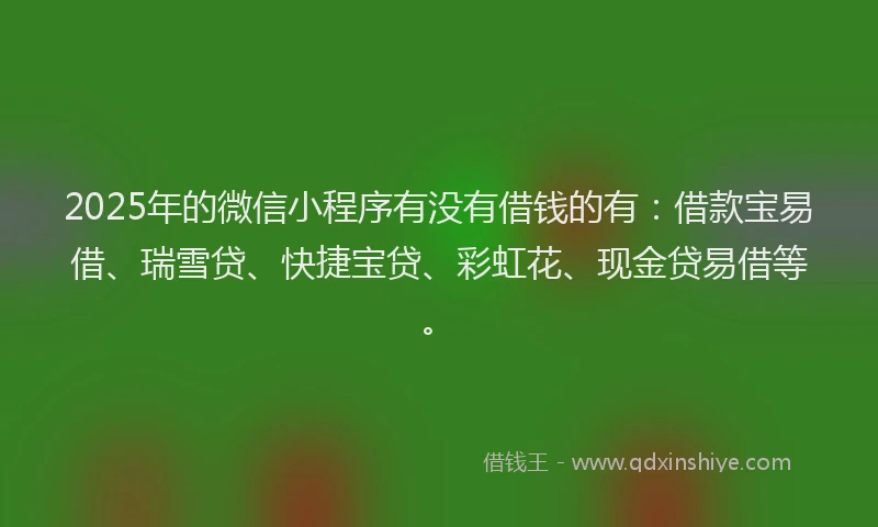 2025年的微信小程序有没有借钱的有：借款宝易借、瑞雪贷、快捷宝贷、彩虹花、现金贷易借等。