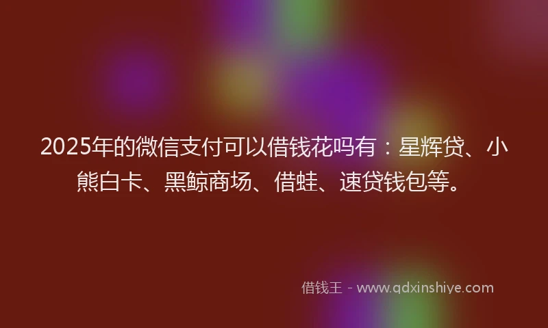 2025年的微信支付可以借钱花吗有：星辉贷、小熊白卡、黑鲸商场、借蛙、速贷钱包等。