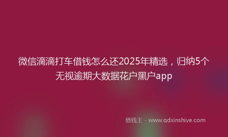 微信滴滴打车借钱怎么还2025年精选，归纳5个无视逾期大数据花户黑户app