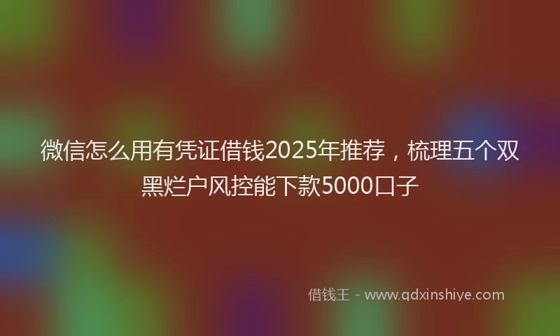 微信怎么用有凭证借钱2025年推荐，梳理五个双黑烂户风控能下款5000口子