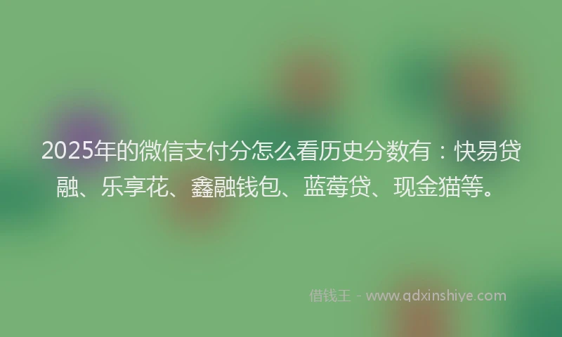 2025年的微信支付分怎么看历史分数有：快易贷融、乐享花、鑫融钱包、蓝莓贷、现金猫等。