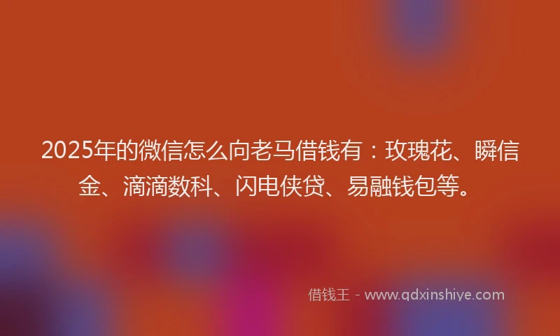 2025年的微信怎么向老马借钱有：玫瑰花、瞬信金、滴滴数科、闪电侠贷、易融钱包等。