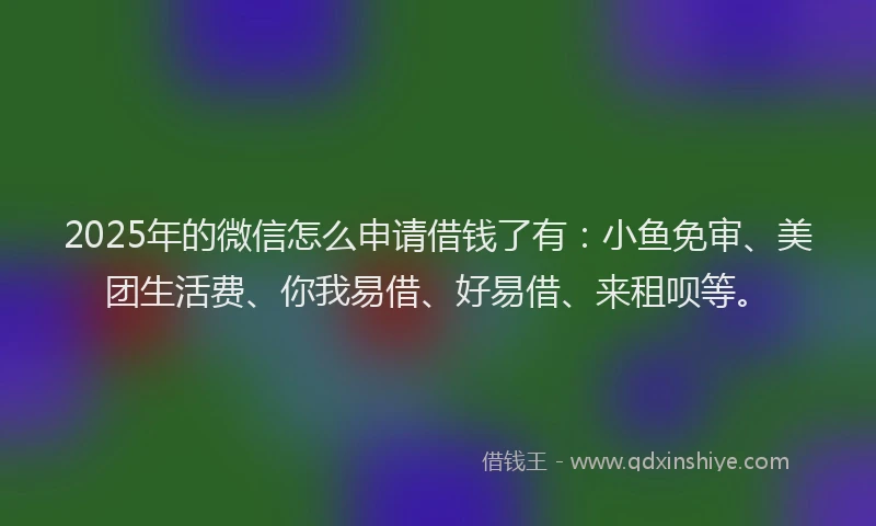 2025年的微信怎么申请借钱了有：小鱼免审、美团生活费、你我易借、好易借、来租呗等。
