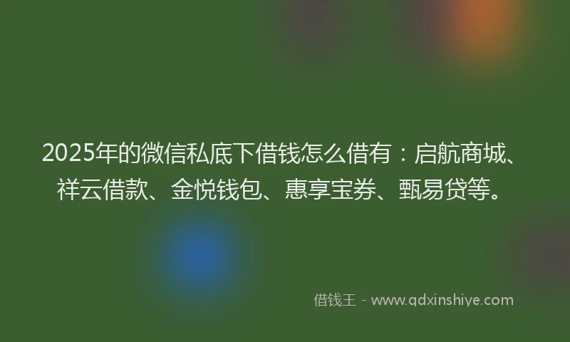 2025年的微信私底下借钱怎么借有：启航商城、祥云借款、金悦钱包、惠享宝券、甄易贷等。