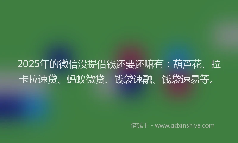 2025年的微信没提借钱还要还嘛有：葫芦花、拉卡拉速贷、蚂蚁微贷、钱袋速融、钱袋速易等。